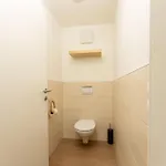 Pickl Apartment *